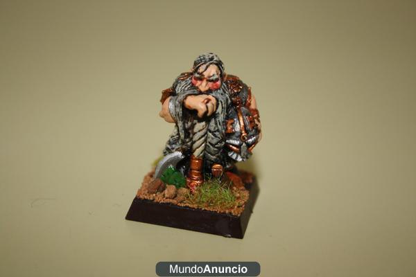 Vendo warhammer Señor Enano