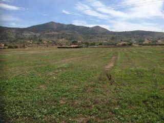 Terreno/Finca Rstica en venta en Hondón de los Frailes, Alicante (Costa Blanca)