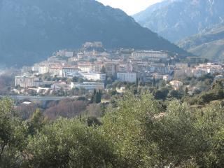 Casa rural : 2/5 personas - piscina - corte  alta corcega  corcega  francia