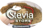 Semillas de Stevia - mejor precio | unprecio.es