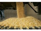 Importaciones-Exportaciones de Cereales - mejor precio | unprecio.es