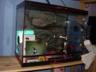 Vendo Terrario 45 - mejor precio | unprecio.es