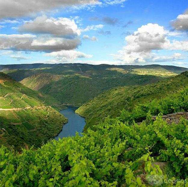 Alquiler de casa en la Ribeira Sacra, Pinol (Sober) Monforte