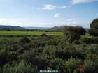CAMBIO FINCA RUSTICA 6.220 M2 POR COCHE, FURGONETA O AUTOCARAVANA.. - mejor precio | unprecio.es