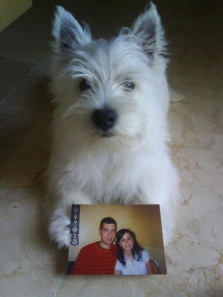 WESTY PARA MONTA