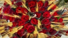 Venta de rosas para sant jordi - mejor precio | unprecio.es