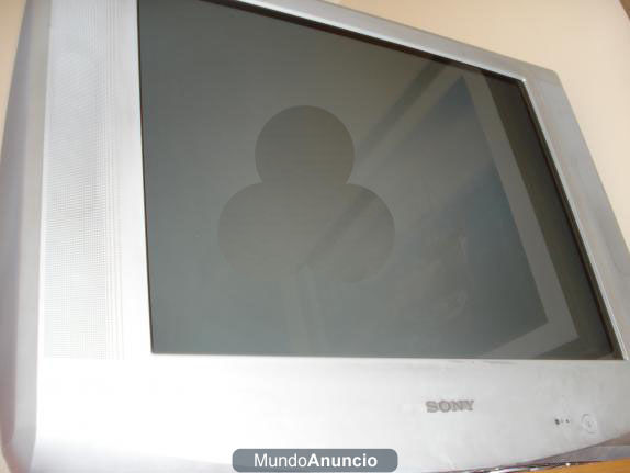 VENDE  SuperTELEVISOR 29' Sony TRINITRON  (Como Nuevo )