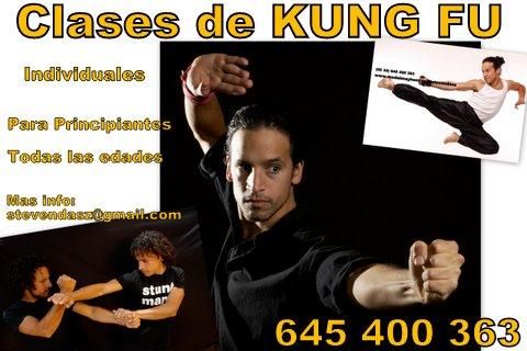 Clases de Kung Fu en Marbella - Malaga - 645 400 363