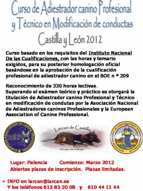 CURSO ADIESTRADOR CANINO PROFESIONAL Y TECNICO EN MODIFICACIÓN DE CONDUCTAS CASTILLA Y LEO