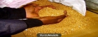 vender 50 kg de polvo de oro - mejor precio | unprecio.es