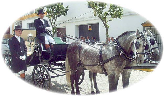 Alquiler Coche de Caballos Feria Sevilla