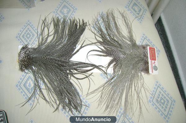 Extensiones de plumas