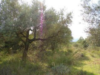 Finca/Casa Rural en venta en Molar (El), Tarragona (Costa Dorada)