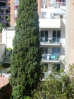 Dúplex en Barcelona - mejor precio | unprecio.es