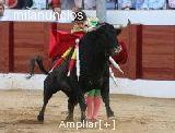 Entradas toros feria de valencia,tendidos bajos a 40 eurs(dia 17-18 y 19 marzo