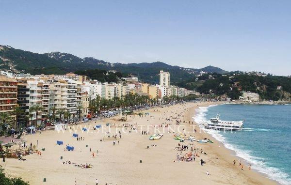 Vacation rental Lloret de Mar 7