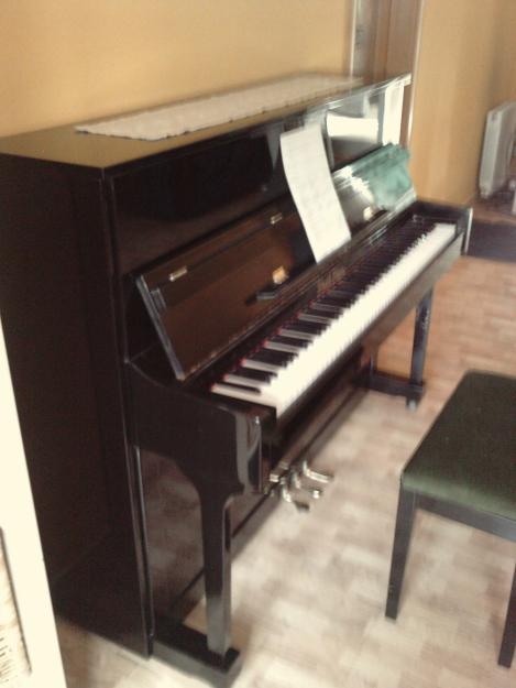 PIANO SEMINUEVO PEARL RIVER