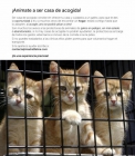 ¡¡¡ANÍMATE A SER CASA DE ACOGIDA!!! - mejor precio | unprecio.es