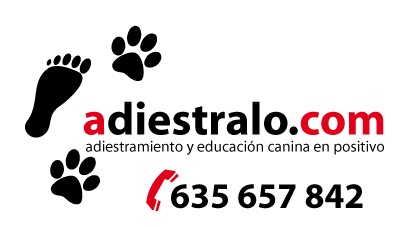 Adiestramiento canino