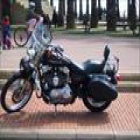 HARLEY DAVIDSON SPORSTES CUSTOM - mejor precio | unprecio.es