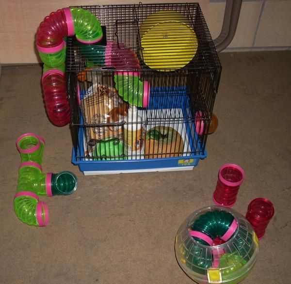 Jaula de hamster