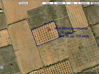 Terreno/Finca Rstica en venta en Yecla, Murcia (Costa Cálida)