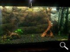 Acuario 200 litros - mejor precio | unprecio.es