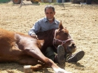 RECUPERACION Y RETIRO DE CABALLOS ARABES VALENCIA - mejor precio | unprecio.es