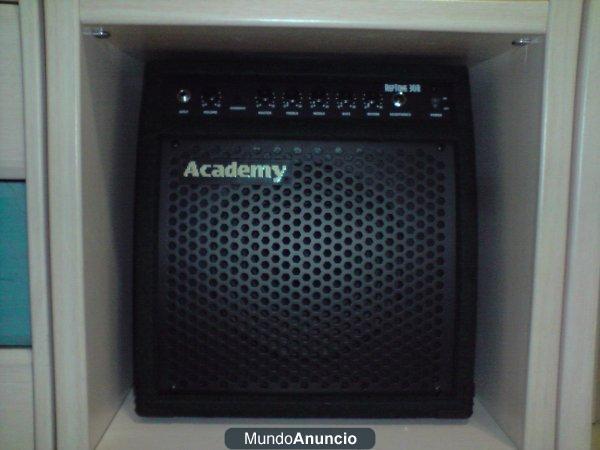 ACADEMY 50w - REPTONE 30