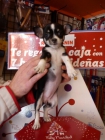 Chihuahuas - mejor precio | unprecio.es