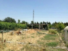 Canto grande(caballo blanco) - mejor precio | unprecio.es