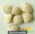 VENDO NUEZ DE LA INIDIA - mejor precio | unprecio.es