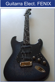 2 GUITARRAS X 1