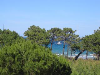 Apartamento en residencia : 2/4 personas - vistas a mar - calvi  alta corcega  corcega  francia