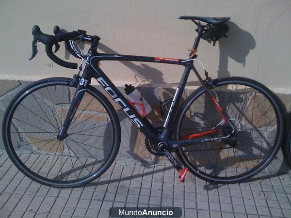 FOCUS IZALCO 1.0 2012 TALLA L