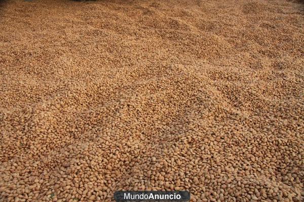 Almendras, nueces, de la Serranía de Ronda y Cádiz