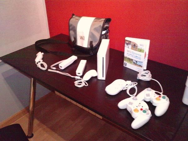 Wii flasheada +accesorios