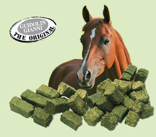 Wafer fioc plus para caballo