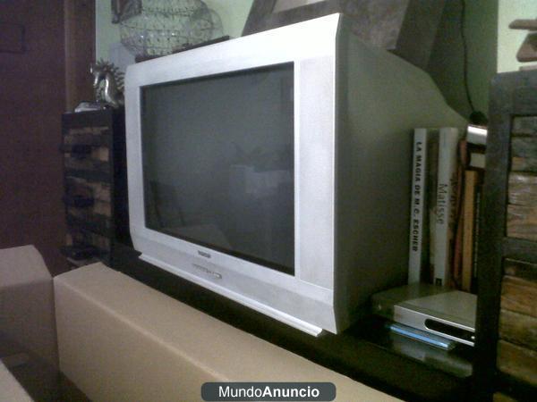 Televisión convencional pantalla plana