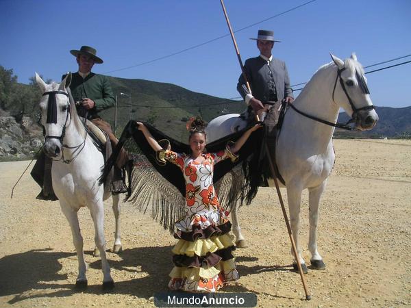 caballos para bodas