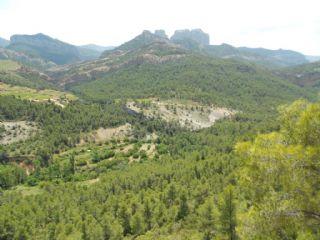 Terreno/Finca Rstica en venta en Horta de Sant Joan, Tarragona (Costa Dorada)