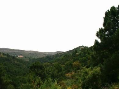 Terreno se vende en Benahavis, Costa del Sol