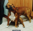VENDO CAMADA DE STAFFY - mejor precio | unprecio.es