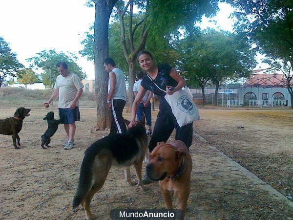 cuidadora de mascotas