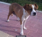 nety busca casa - mejor precio | unprecio.es