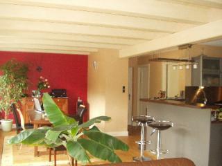Apartamento en residencia : 4/6 personas - gerardmer  vosgos  lorena  francia