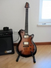 Guitarra Godin LGX-SA + Estuche duro + Amp. Crate GX-80 - mejor precio | unprecio.es