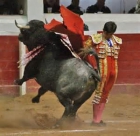 Toros. feria Abril - mejor precio | unprecio.es