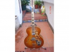 Guitarra de Jazz Hofner - mejor precio | unprecio.es